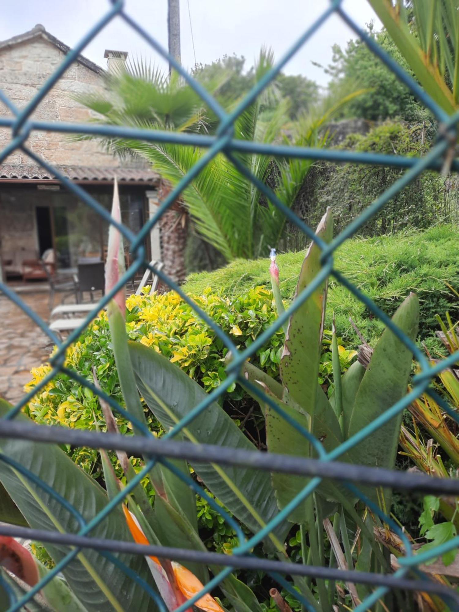 Casa Rural Cabo de Aráns Casa de hóspedes Oroso Exterior foto